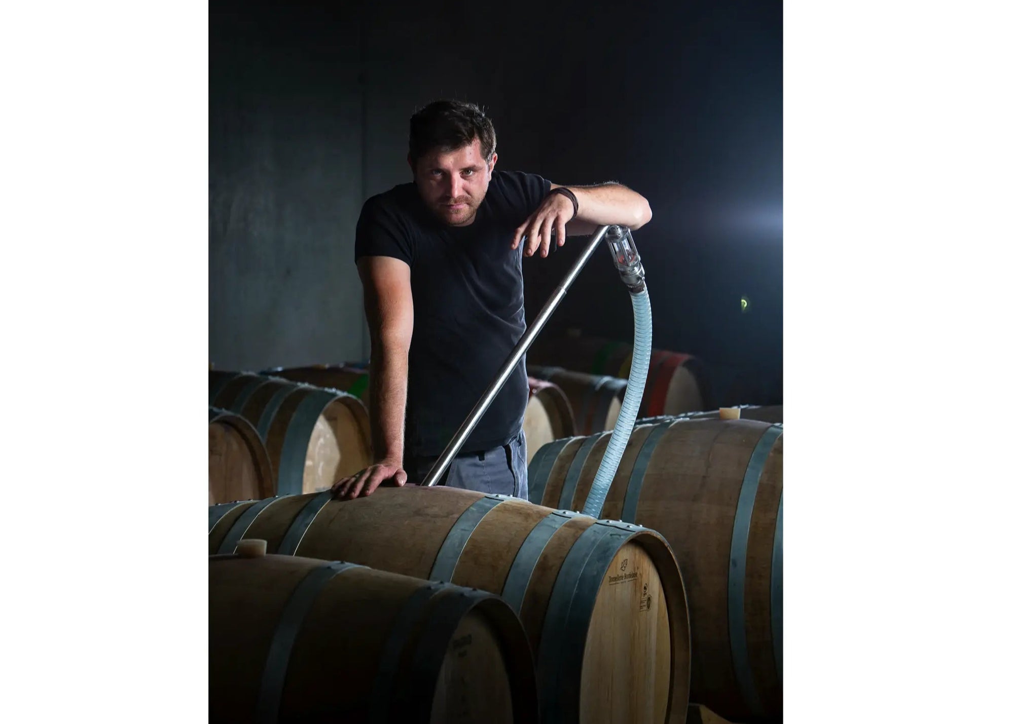Weingut Bernahrd Ernst, Deutschkreutz Burgenland-Österreich, Handarbeit