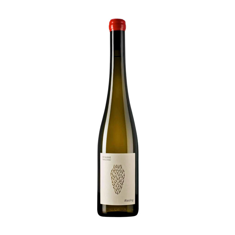 Riesling Amphora 2022