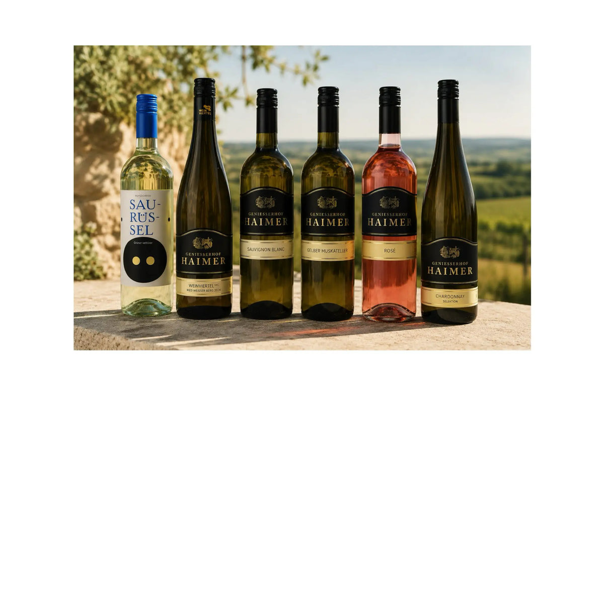 Sommergenuss aus dem Weinviertel – Weingut Harald Haimer, Weinviertel