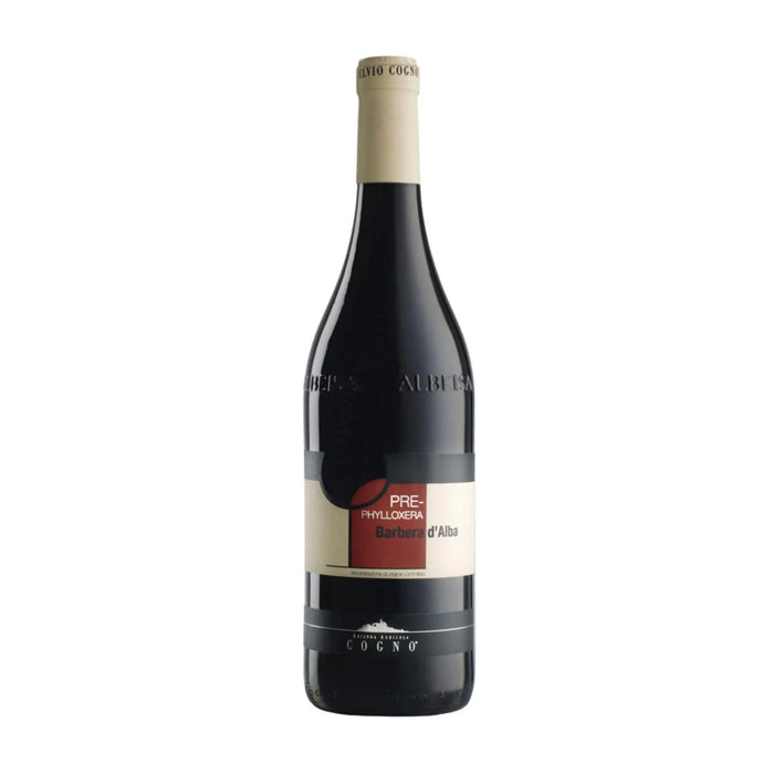 Elvio Cogno, 2020 Barbera d'Alba Pre-Phylloxera, Rotwein aus der Region Piemont, Italien