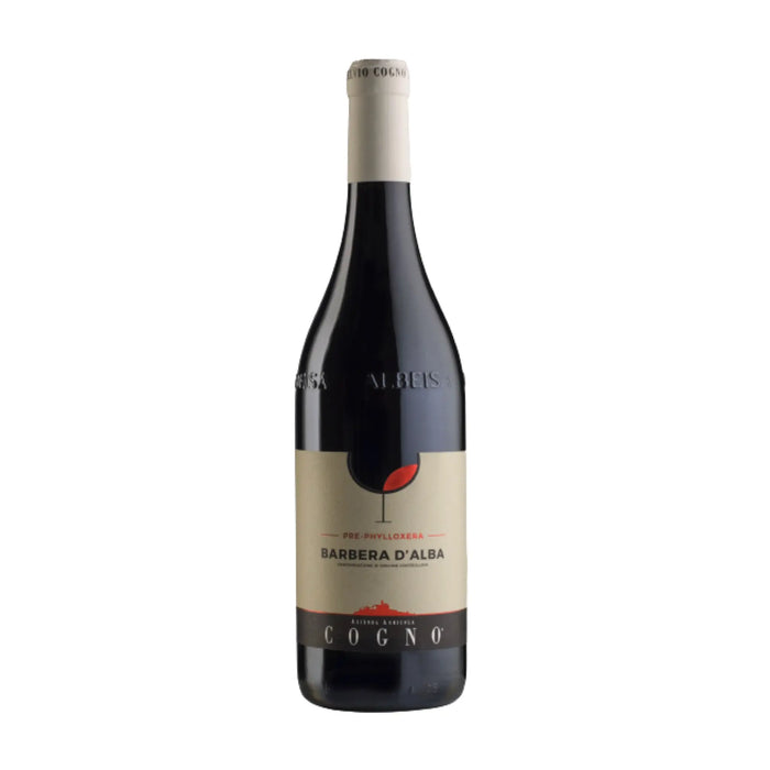 Elvio Cogno, 2021 Barbera d'Alba Pre-Phylloxera, Rotwein aus der Region Piemont, Italien