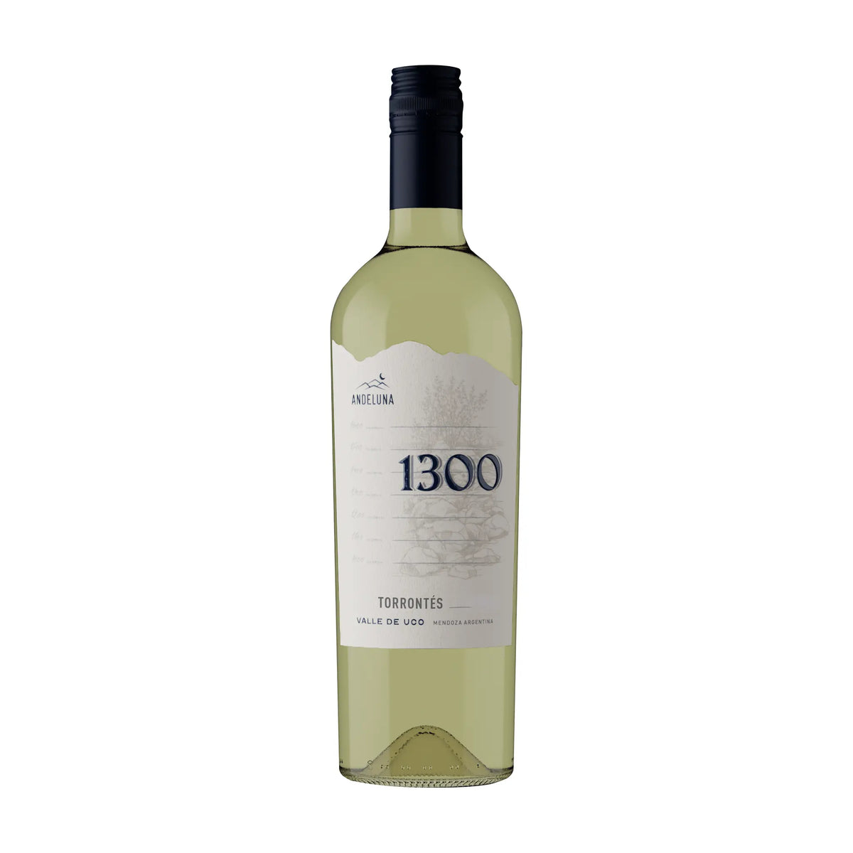 Torrontes Andeluna 1300 Weißwein von Andeluna Cellars - erhältlich bei WINECOM