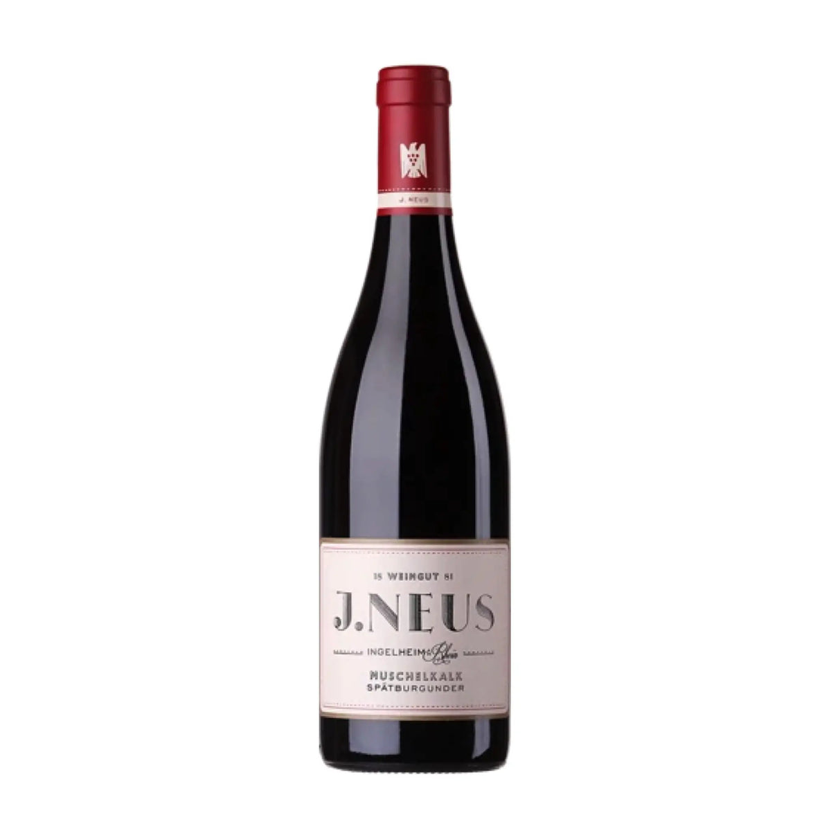 2022 Muschelkalk Spätburgunder vom Weingut Weingut J.Neus, Rotwein aus Rheinhessen, Deutschland
