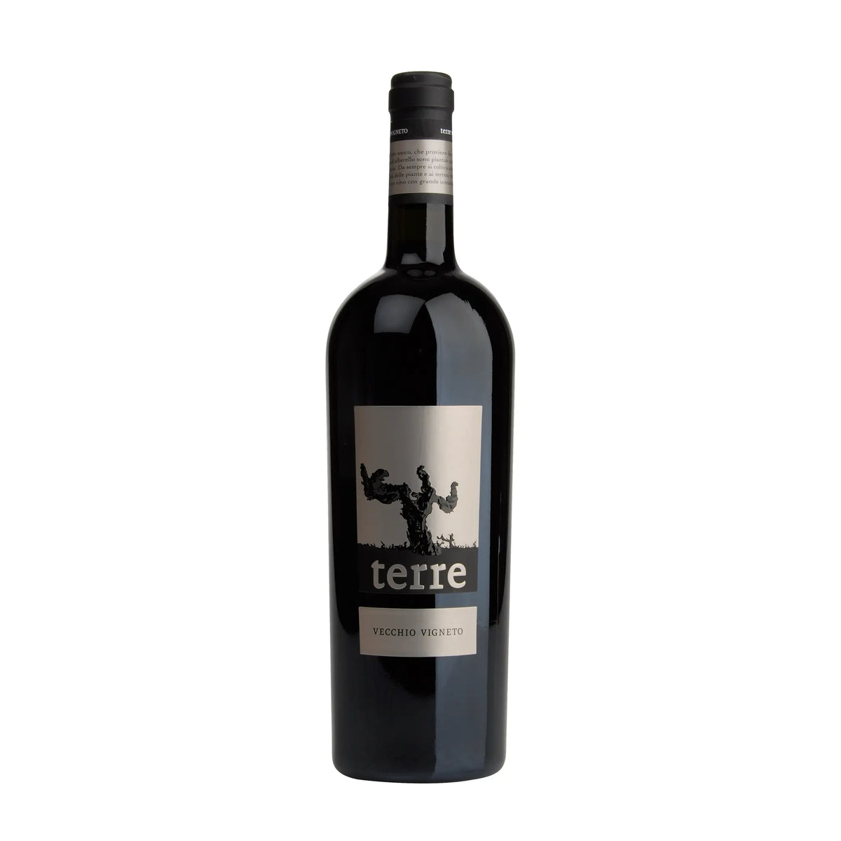 Terre Rosso Puglia IGT 2021 Rotwein von Terre di Campo Sasso - erhältlich bei WINECOM