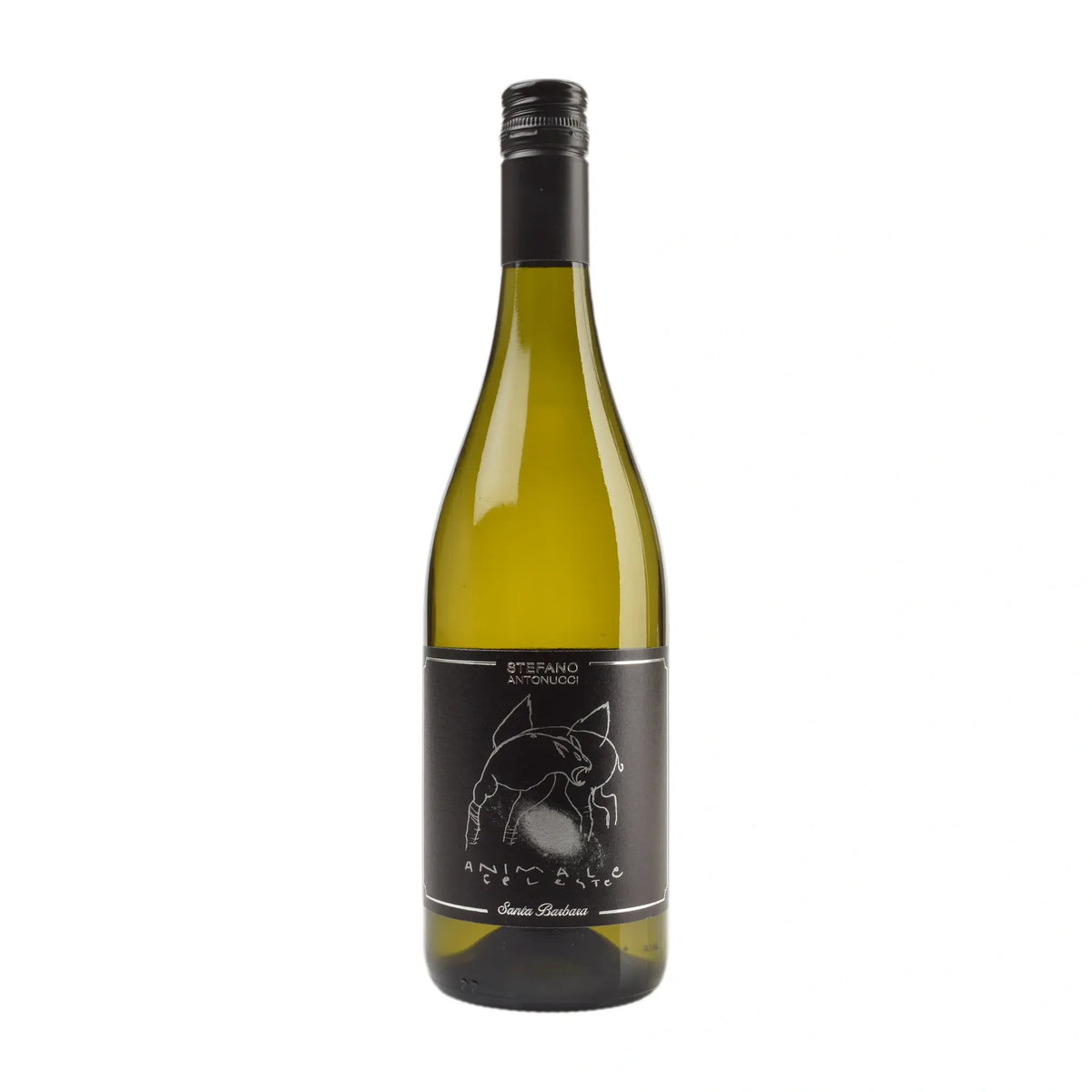 2024 Animale Celeste Sauvignon Blanc Weißwein von Azienda Santa Barbara - erhältlich bei WINECOM