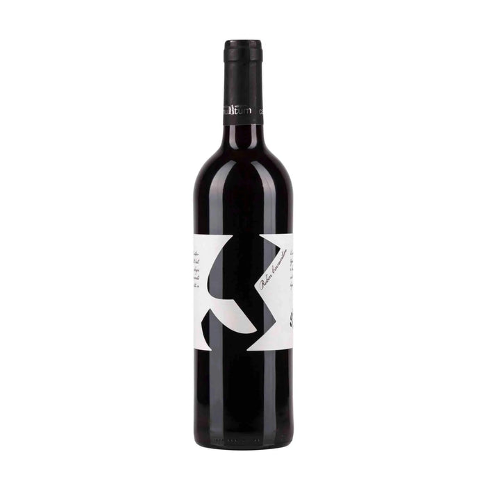 2021 Zweigelt Rubin Carnuntum DAC BIO Rotwein vom Weingut Glatzer - erhältlich bei WINECOM