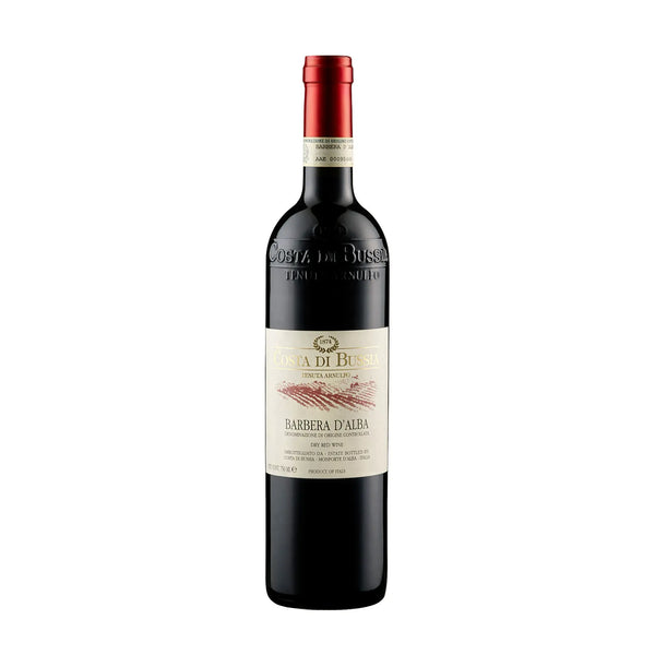 Barbera d' Alba DOC 2023