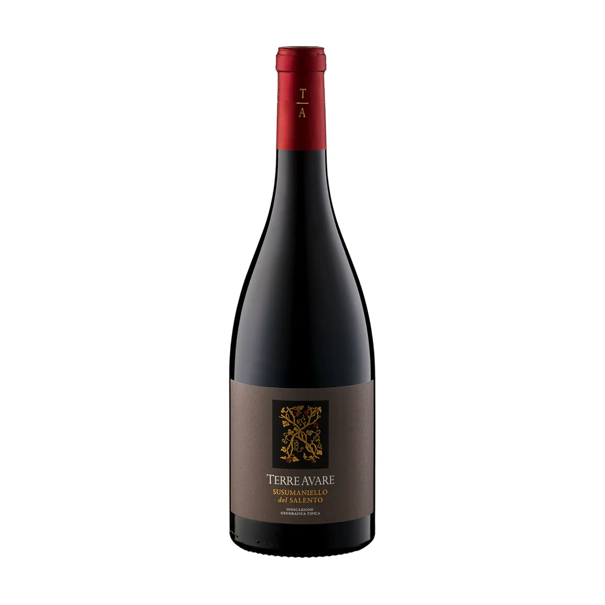 Terre Avare Susumaniello Salento IGT Rotwein von Terre Avare - erhältlich bei WINECOM