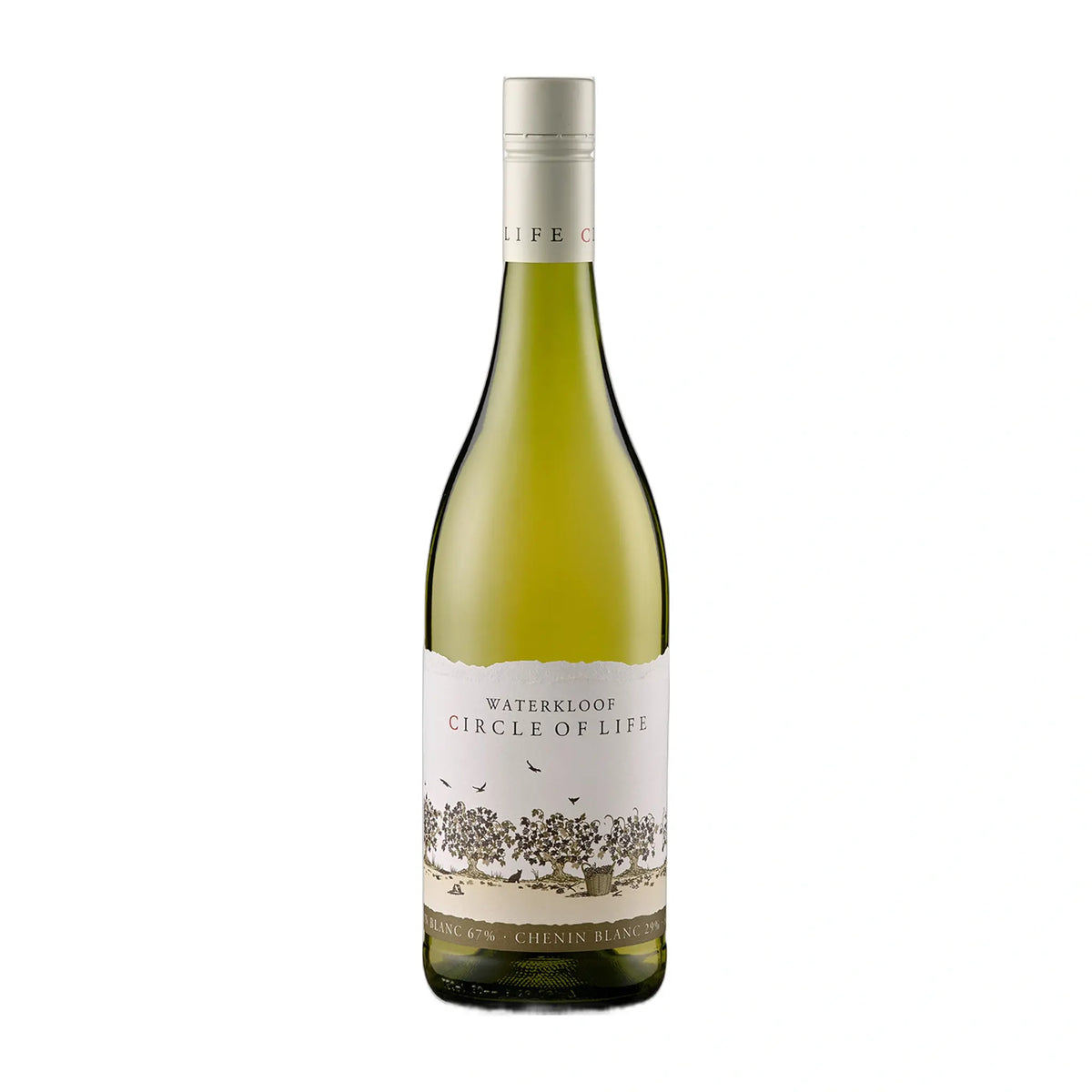 Circle of Life White Weißwein von Waterkloof Wine Estate - erhältlich bei WINECOM