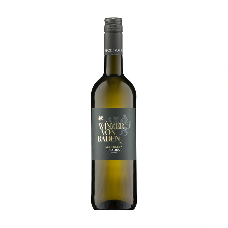 Riesling Alte Reben 2024